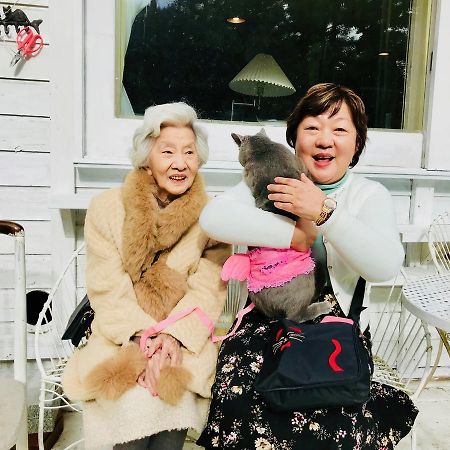 Mt Fuji Cat&Dog&Spa Pension Blue Poppy Fujikawaguchiko Buitenkant foto
