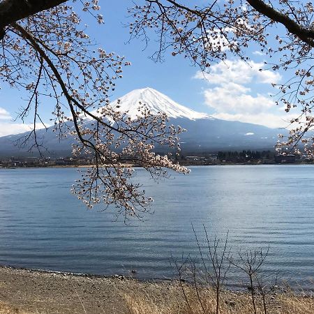 Mt Fuji Cat&Dog&Spa Pension Blue Poppy Fujikawaguchiko Buitenkant foto