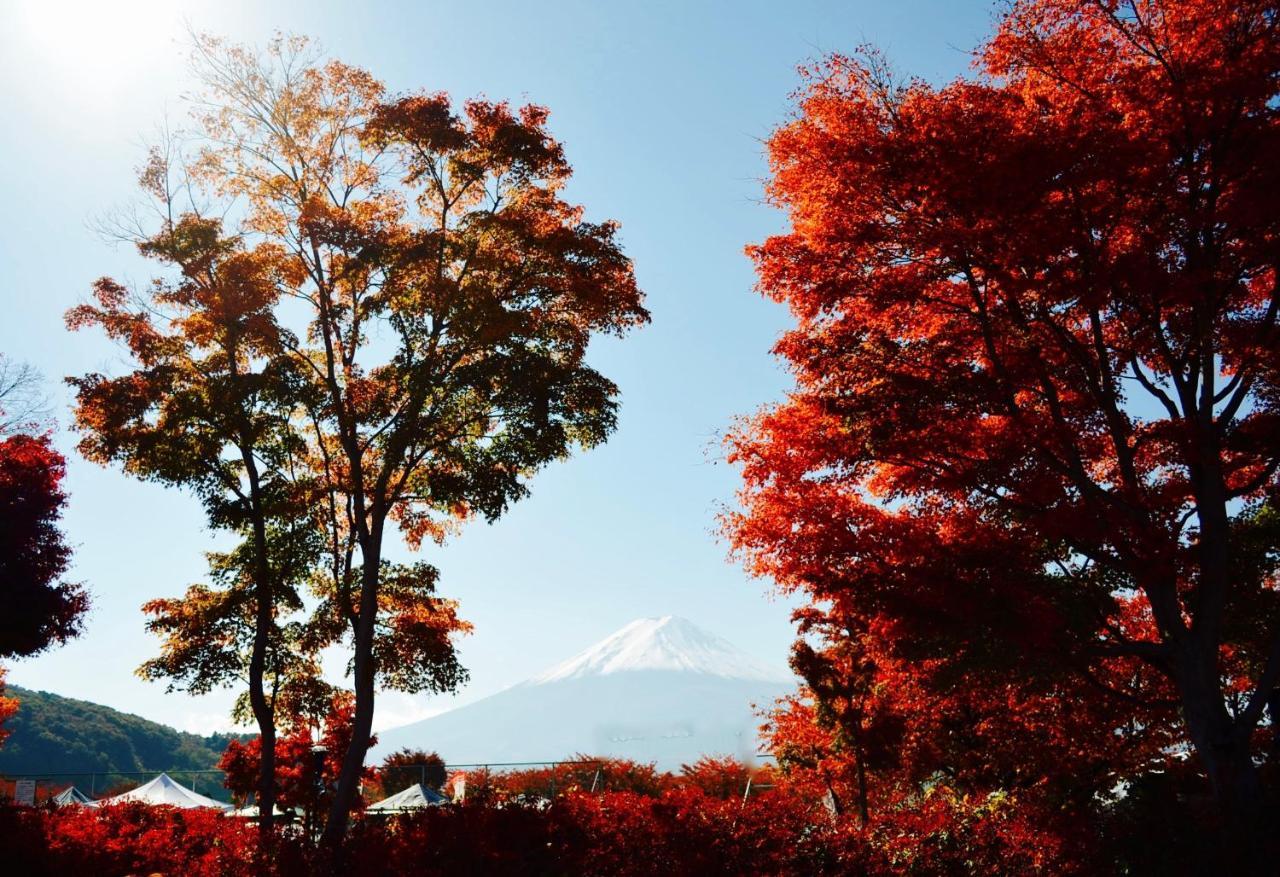 Mt Fuji Cat&Dog&Spa Pension Blue Poppy Fujikawaguchiko Buitenkant foto