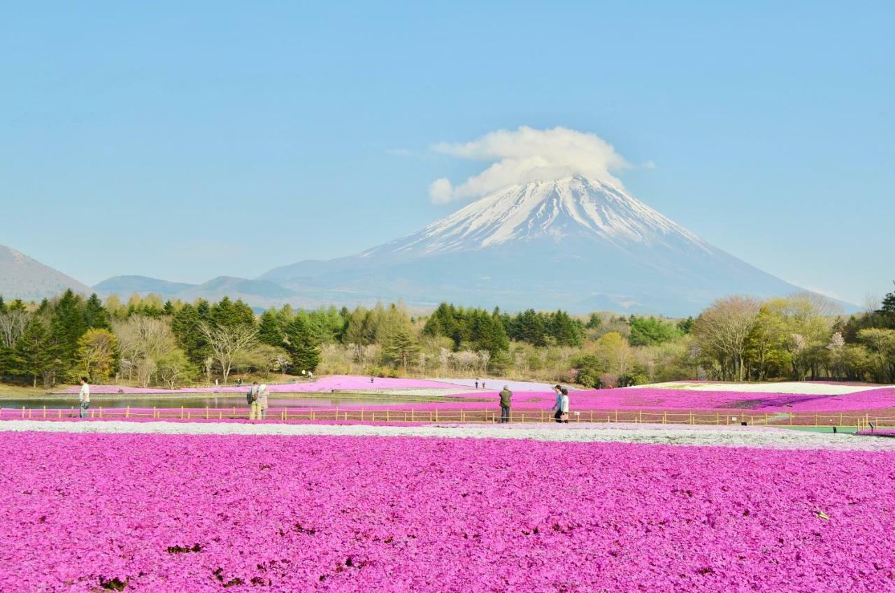 Mt Fuji Cat&Dog&Spa Pension Blue Poppy Fujikawaguchiko Buitenkant foto