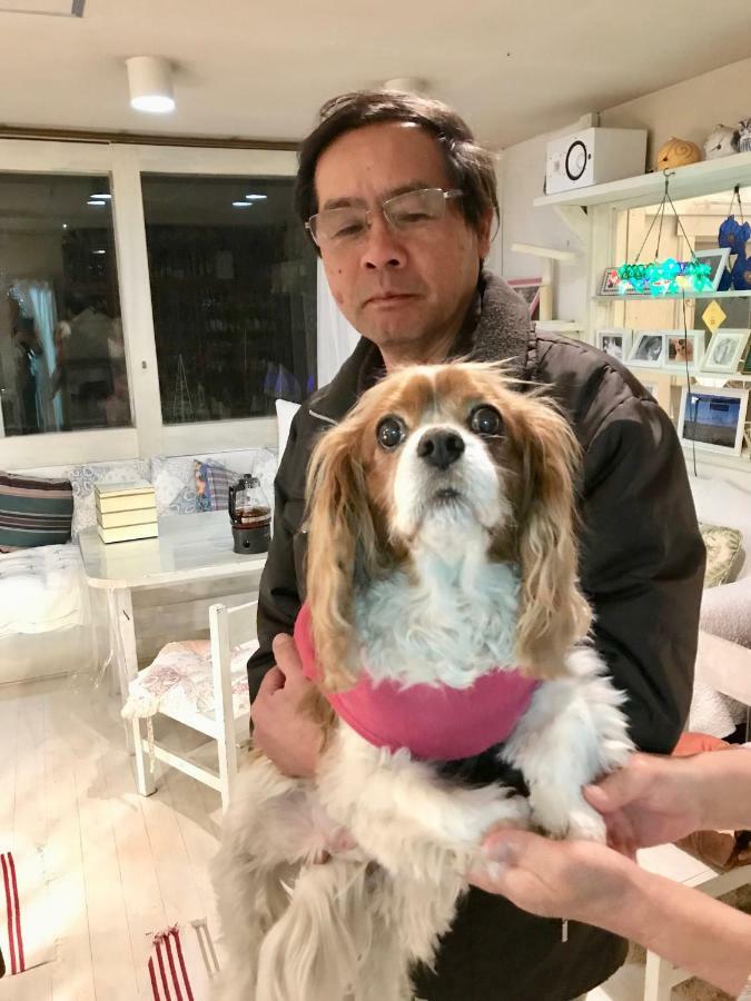 Mt Fuji Cat&Dog&Spa Pension Blue Poppy Fujikawaguchiko Buitenkant foto
